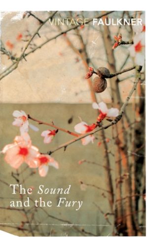 SOUND AND THE FURY