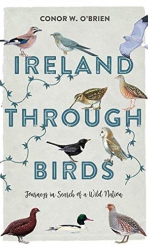Ireland Through Birds