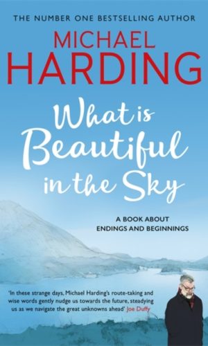 What is Beautiful in the Sky