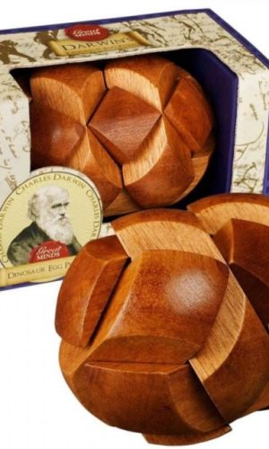 Darwin's Egg of Evolution