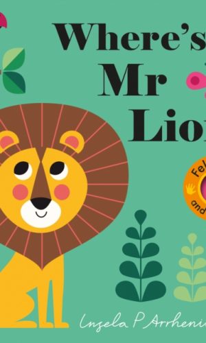 Where's Mr Lion