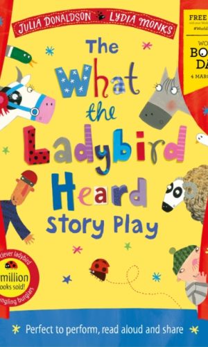 What The Ladybird Heard Story Play World Book Day