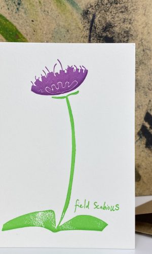 Field scabious - Linoprint / Letterpress