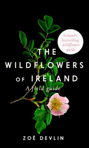 The Wildflowers of Ireland