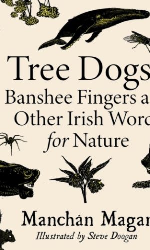 Tree Dogs, Banshee Fingers and Other Irish Words For Nature