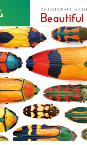 Beautiful Beetles Jigsaw Puzzle
