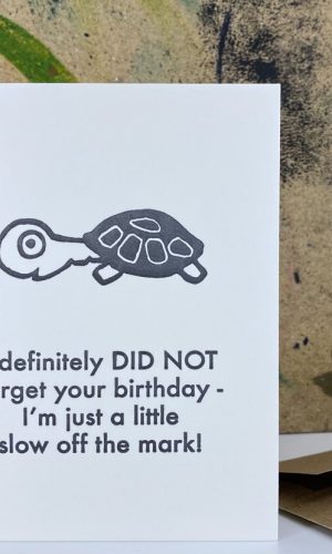 The Tortoise Belated Birthday Wishes