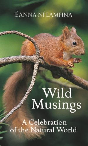 Wild Musings