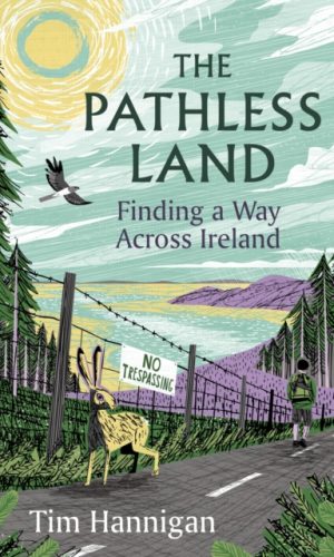 The Pathless Land